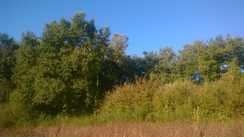Photo n° 1 de l'avis de Eric.o fait le 12/10/2017 à 13:14