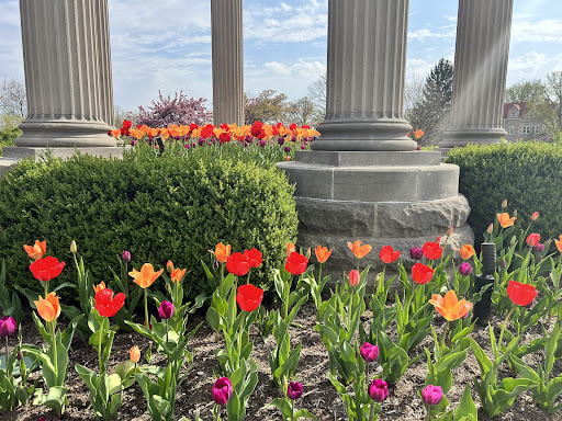 Orchard «The Orchard Shop», reviews and photos, 311 W St Joseph St, Muncie, IN 47303, USA