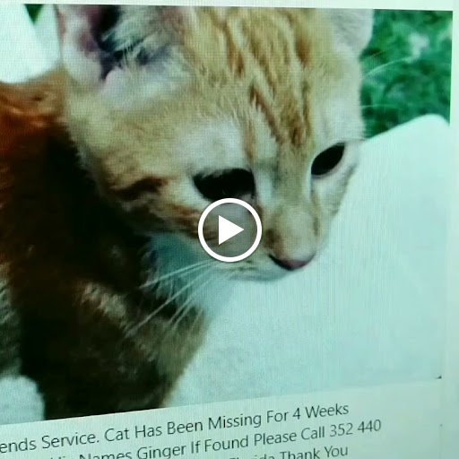 Marina «Fort Pierce City Marina», reviews and photos, 1 Avenue A, Fort Pierce, FL 34950, USA