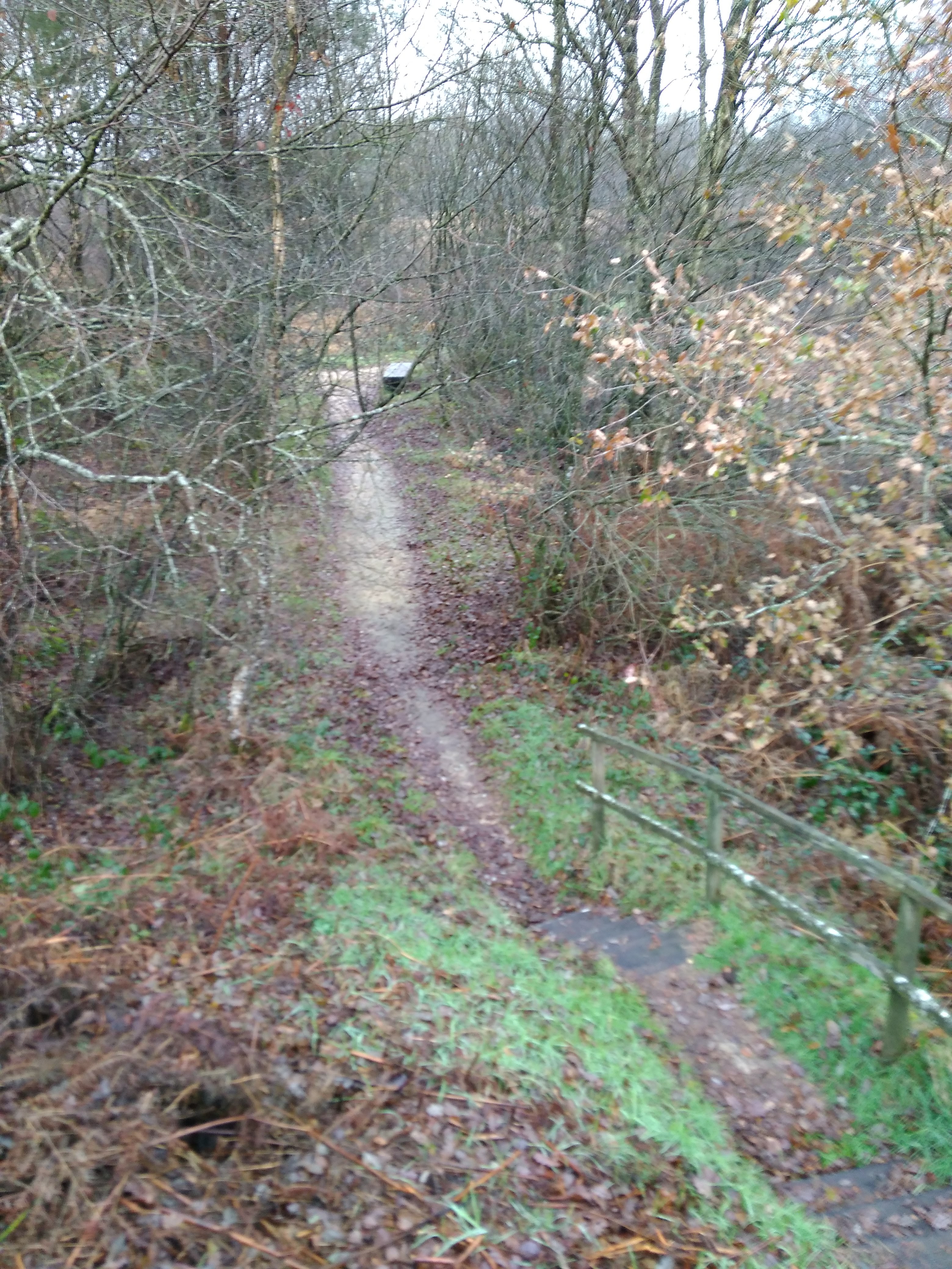 Photo n° 1 de l'avis de Emma.e fait le 09/12/2017 à 17:34
