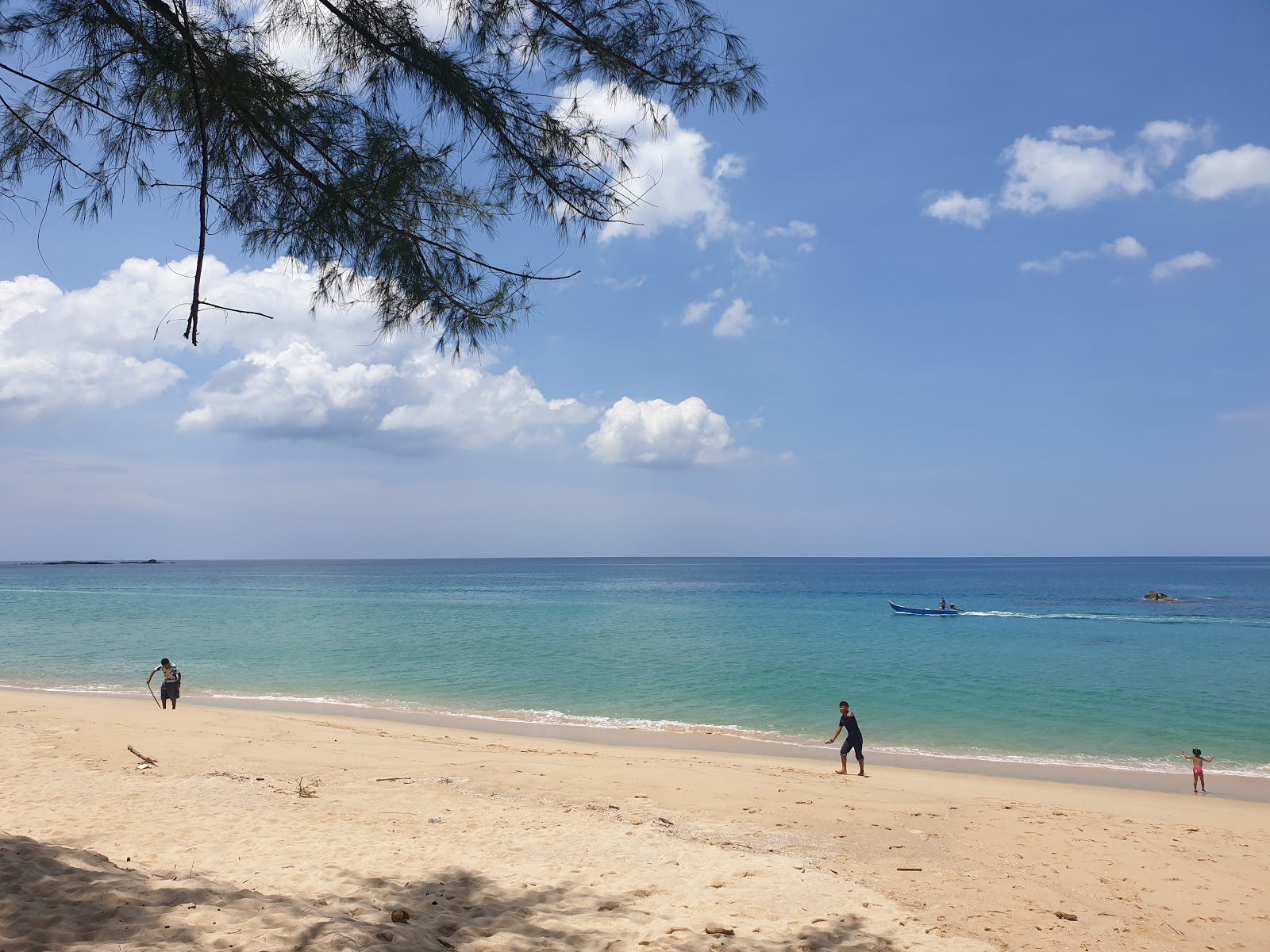 Bor Dan Beach'in fotoğrafı vahşi alan