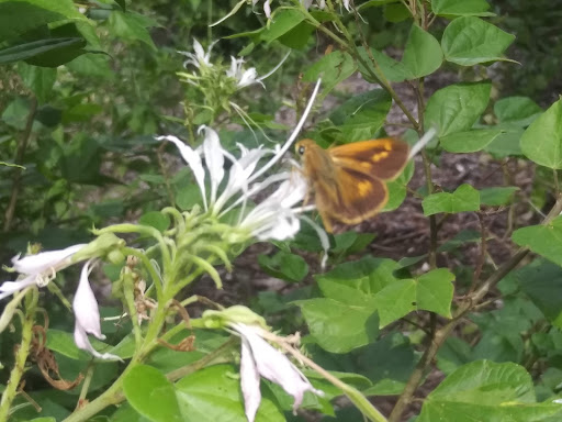 Nature Preserve «Warbler Woods», reviews and photos, 19349 Old Wiederstein Rd, Cibolo, TX 78108, USA