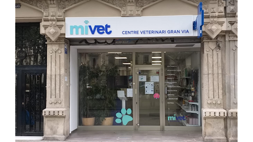 MiVet Clínica Veterinaria Gran Vía
