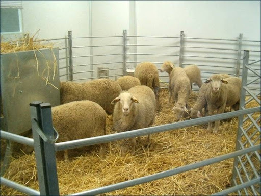 Center For Veterinary Health Surveillance (Visavet) U.c.m. en Madrid