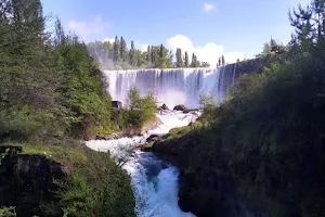 Saltos del Laja image