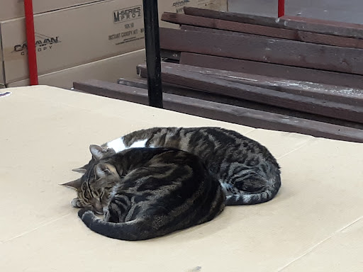 Hardware Store «DIY Center», reviews and photos, 3221 W Magnolia Blvd, Burbank, CA 91505, USA