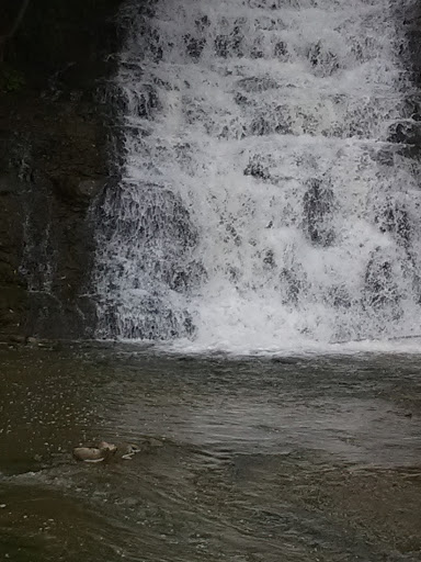 Casino «Batavia Downs Gaming», reviews and photos, 8315 Park Rd, Batavia, NY 14020, USA