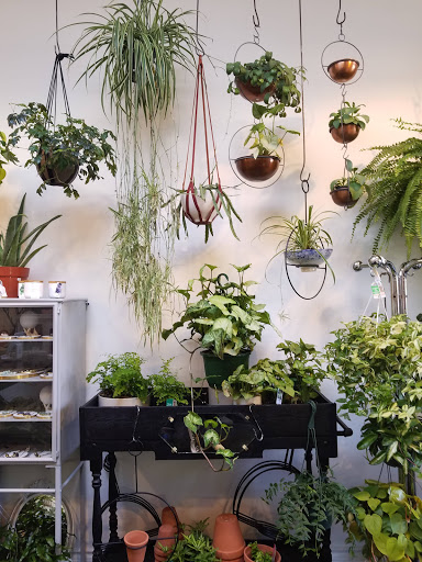 Florist «Starflower», reviews and photos, 3411 SE Belmont St, Portland, OR 97214, USA