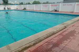 Dolphin Swimming Pool image