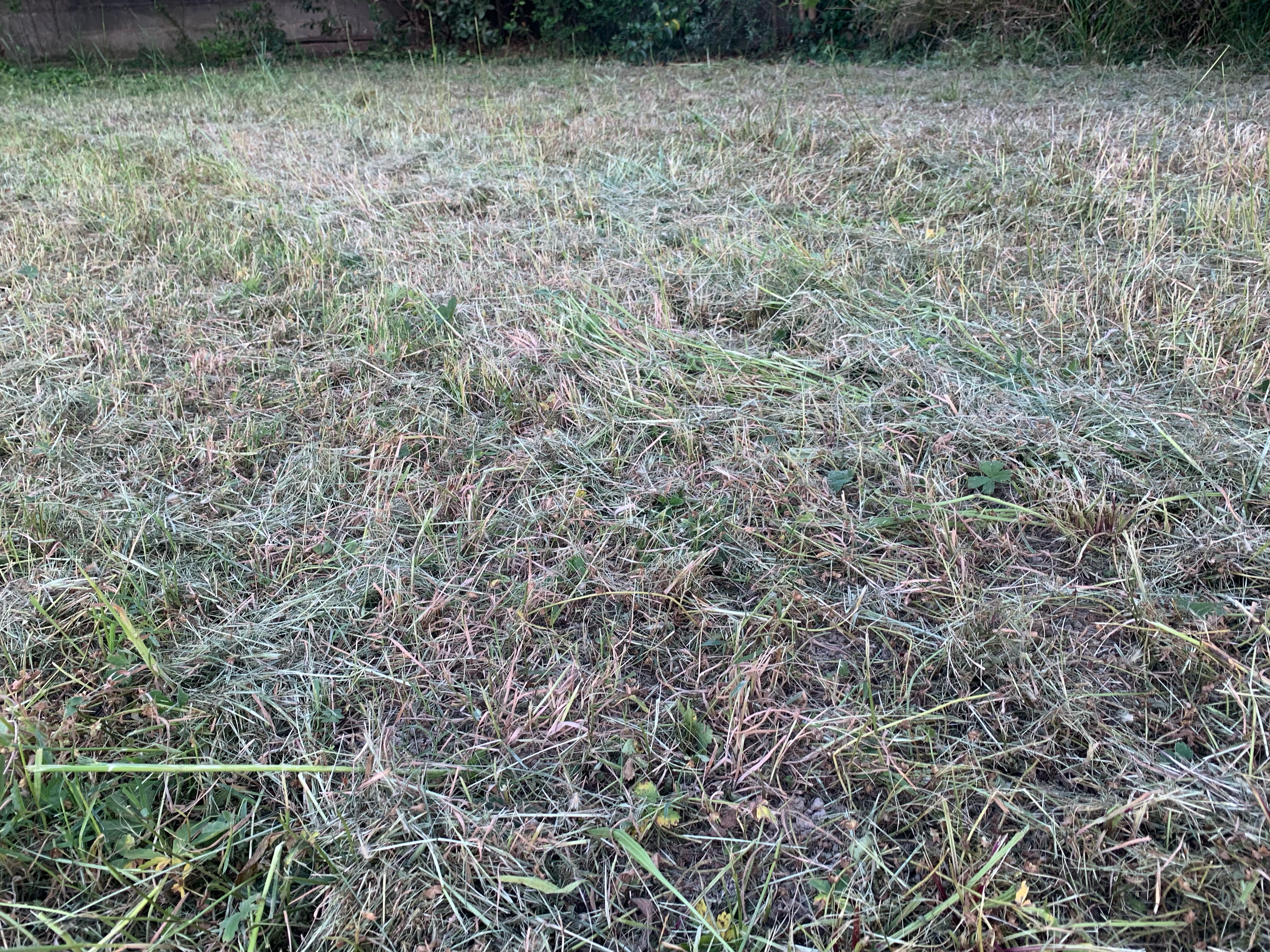 Photo n° 6 de l'avis de VALERIE.E fait le 12/05/2022 à 08:21