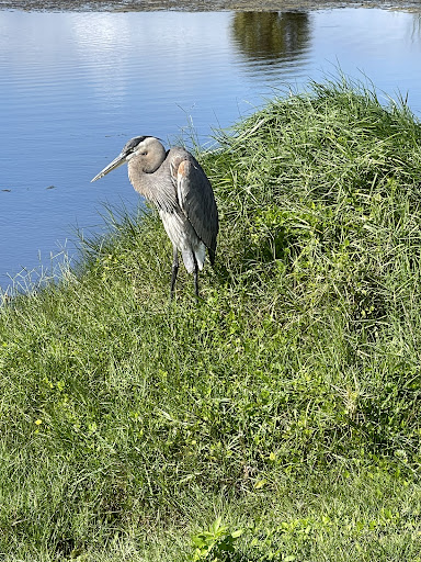 Country Club «Cocoa Beach Country Club», reviews and photos, 5000 Tom Warriner Blvd, Cocoa Beach, FL 32931, USA