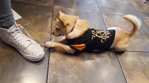 Pet Adoption Service «Found Animals Adopt & Shop», reviews and photos, 353 Lakewood Center Mall, Lakewood, CA 90712, USA