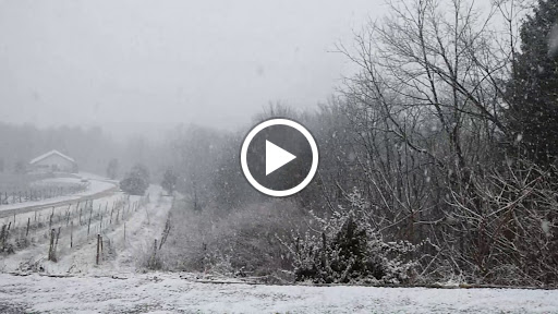 Winery «Big Creek Vineyard», reviews and photos, 41 Susquehanna St, Jim Thorpe, PA 18229, USA