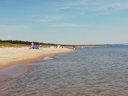Photo de Vitsula beach Gdansk avec rivage droit, long