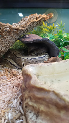 Pet Supply Store «Premier Pet Supply», reviews and photos, 31215 Southfield Rd, Beverly Hills, MI 48025, USA