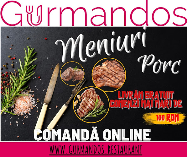 Comentarii opinii despre Gurmandos Restaurant