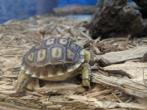 Pet Supply Store «Pets Plus», reviews and photos, 6419 University Ave, Lubbock, TX 79413, USA