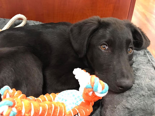 Insurance Agency «Allstate Insurance Agent: Sandra Rabon», reviews and photos