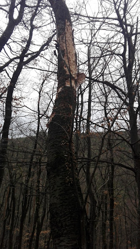 Opinii despre Szent Péter és Pál apostolok templom în Cák - Templom