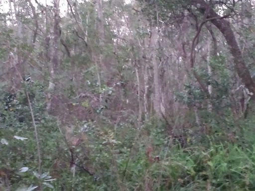 Park «Capehart Park», reviews and photos, 715 Capehart Dr, Orlando, FL 32822, USA