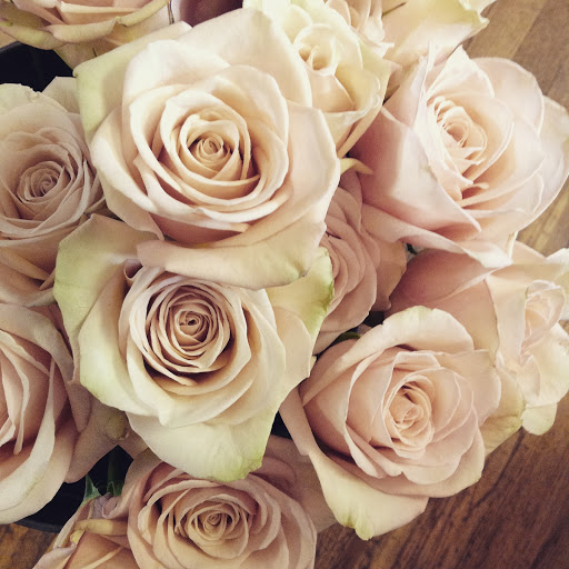 Florist «Blooms & Co.», reviews and photos, 1586 E 3900 S, Salt Lake City, UT 84124, USA