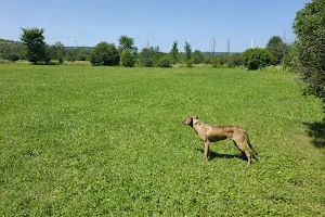 Technologie Dog Park image