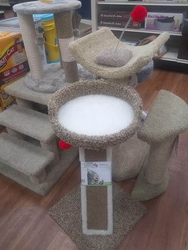 Pet Supply Store «Pet Supermarket, Inc.», reviews and photos, 18445 US-41, Lutz, FL 33549, USA