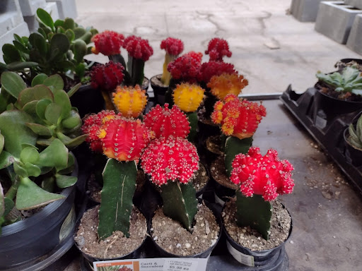 Home Improvement Store «The Home Depot», reviews and photos, 177 Willard St, Quincy, MA 02169, USA