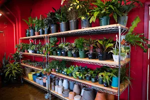 Mae Mae Café & Plant Shop image