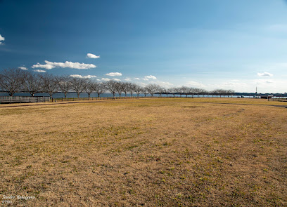 大井戸湖岸公園