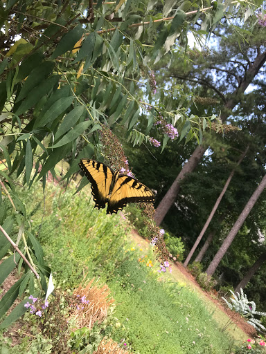 Painting «Clh Painting», reviews and photos, 314 W Millbrook Rd Suite 105, Raleigh, NC 27609, USA