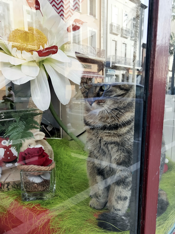 Photo n° 7 de l'avis de caTvalry.o fait le 03/02/2020 à 16:23