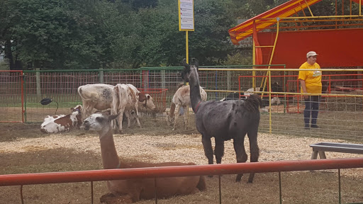 Museum «Queens County Farm Museum», reviews and photos, 73-50 Little Neck Pkwy, Queens, NY 11004, USA