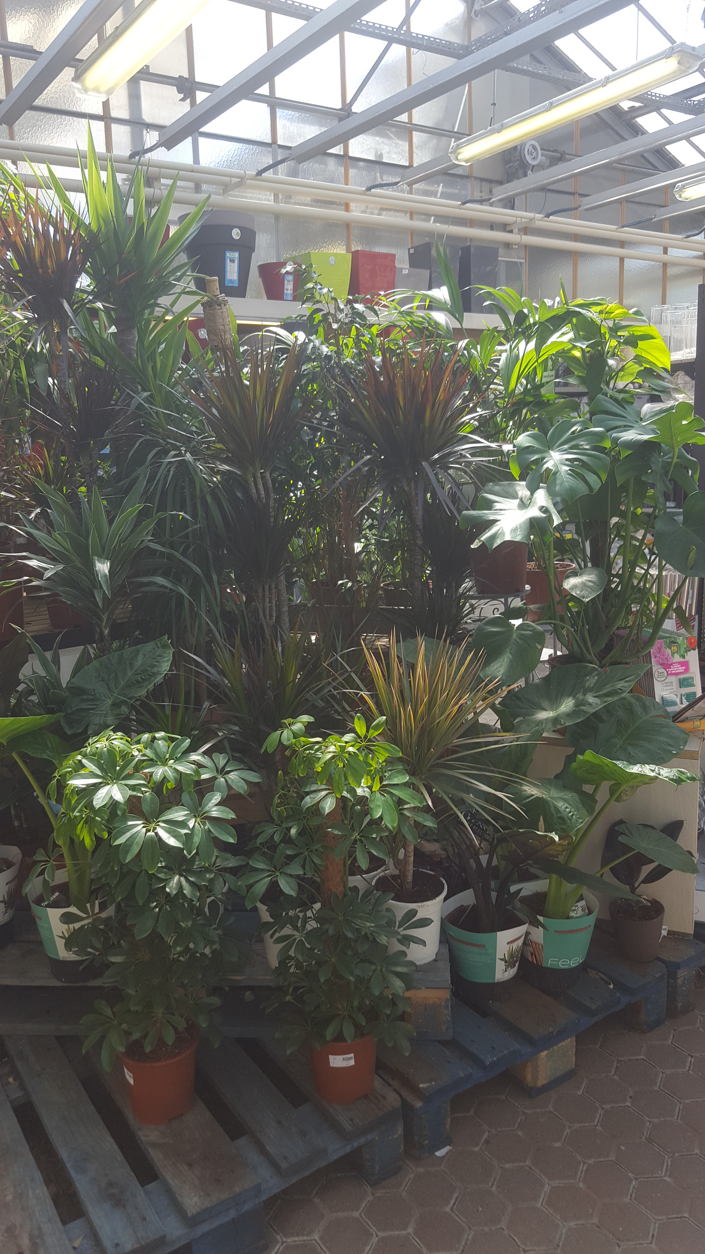 Photo n° 13 de l'avis de Cathie.a fait le 22/04/2018 à 06:06