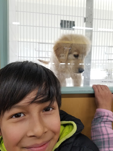 Pet Store «Happiness Is Pets - Downers Grove», reviews and photos, 1542 Ogden Ave, Downers Grove, IL 60515, USA