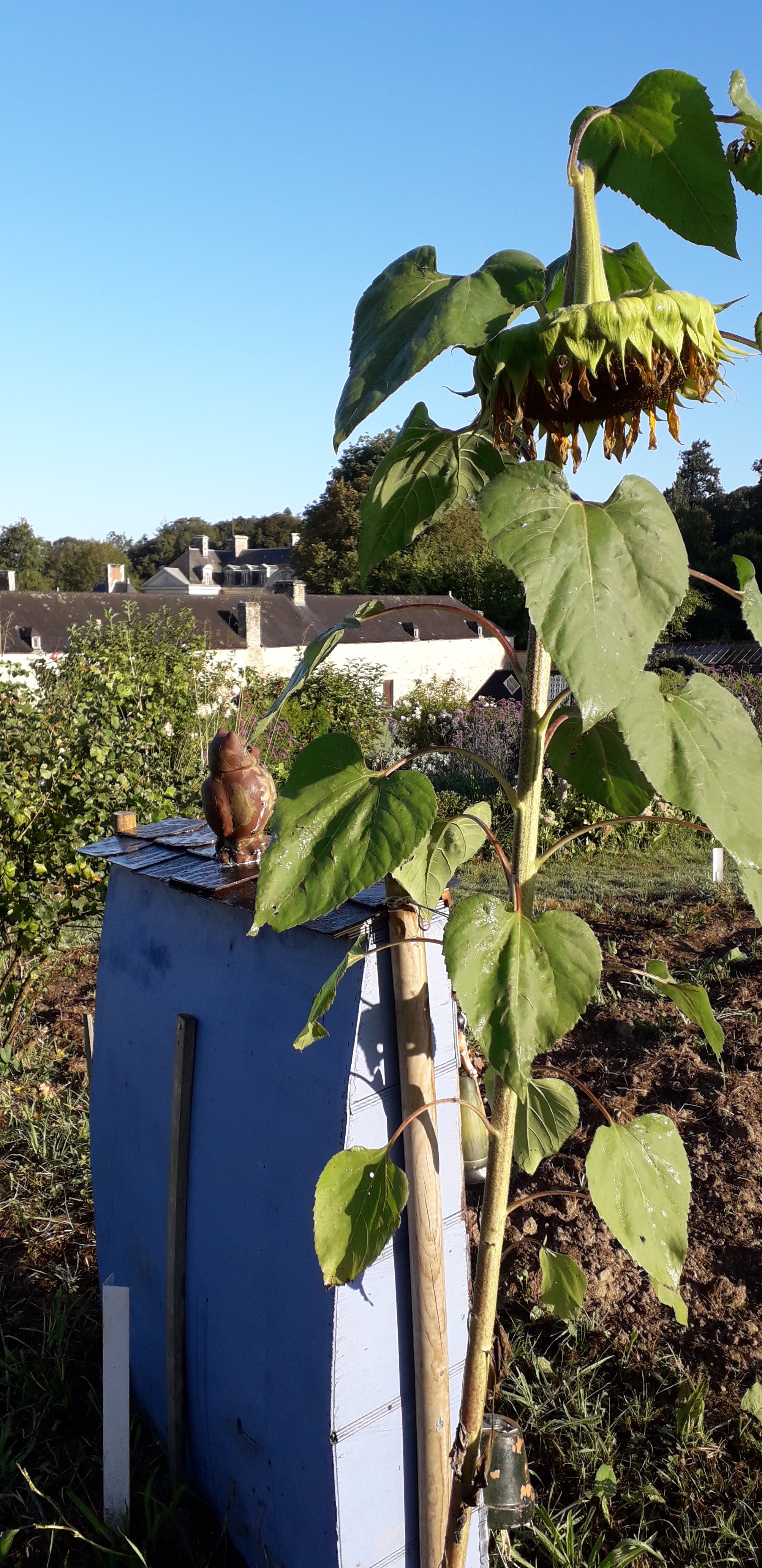 Photo n° 2 de l'avis de stephanie.i fait le 01/09/2019 à 08:59