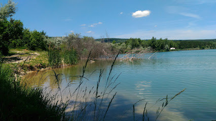 Fenyves-tó