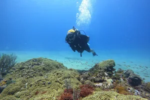 Sosua Diving Center image
