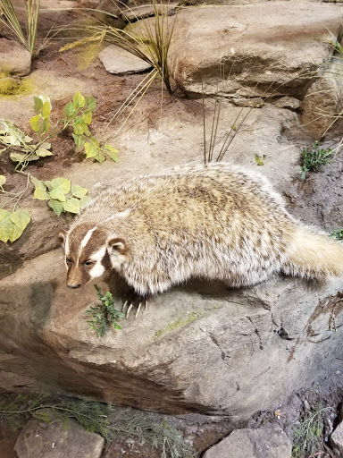 Outdoor Sports Store «Field & Stream», reviews and photos, 2075 Interchange Rd, Erie, PA 16509, USA