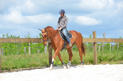 Centre de formation continue Mezailles Laurent Equitation Arces-Dilo