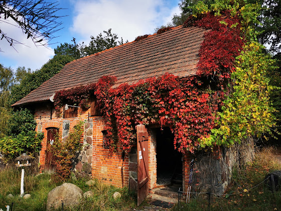 Extérieur Ferienwohnung ferienwohnungen im UNESCO-WNE serrahn - roman vitt 17237 Carpin
