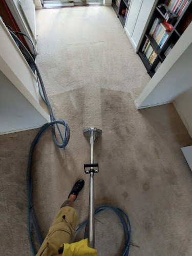 Admiral carpet cleaning services