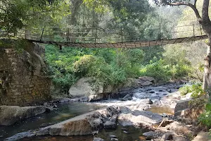 Pulla Veli Falls image