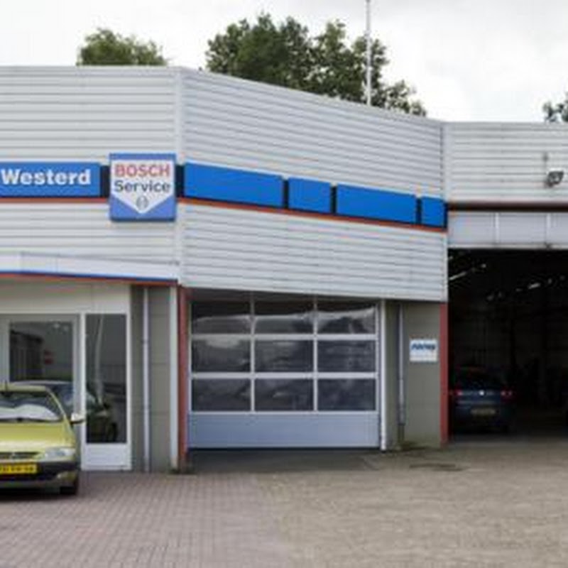 Bosch Car Service De Westerd