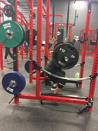 Against the grain STL