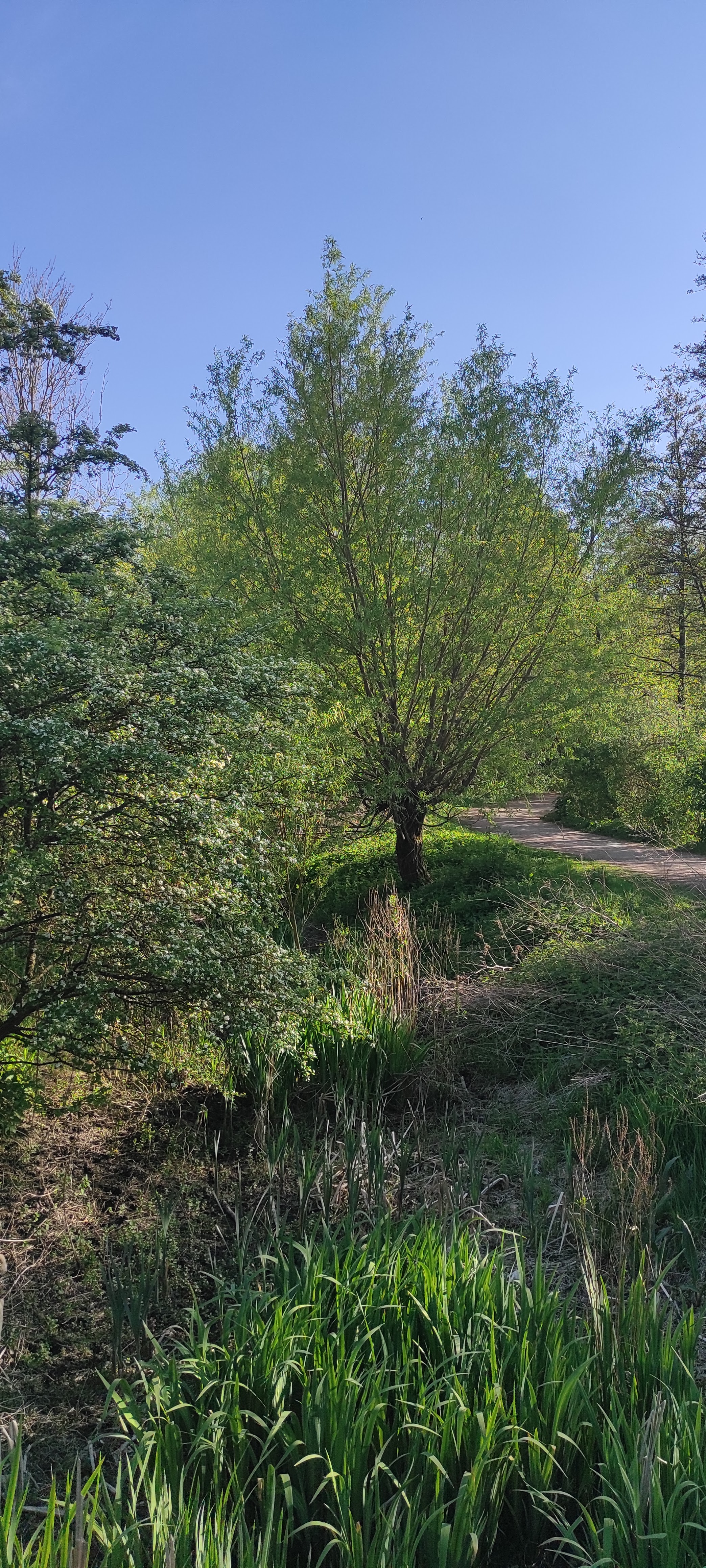Photo n° 25 de l'avis de barbara.i fait le 21/04/2022 à 17:26