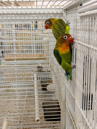 Pet Supply Store «Pet Supermarket, Inc.», reviews and photos, 598 N McCarran Blvd, Sparks, NV 89431, USA