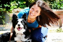 Four Legged Scholars LLC - Photo 3 - Car repair in Salt Lake City, UT, Salt Lake City