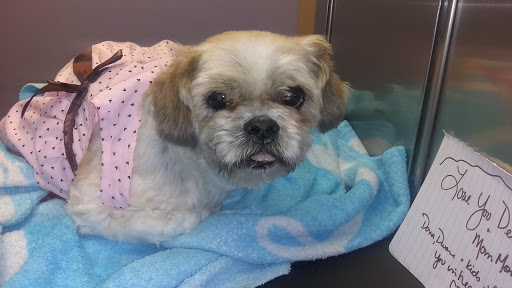 102 Burrs Rd, Westampton, NJ 08060, USA