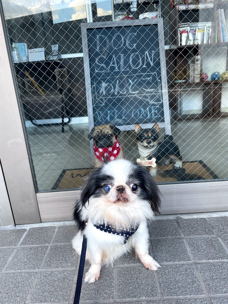 Dog Salon わんとこ
